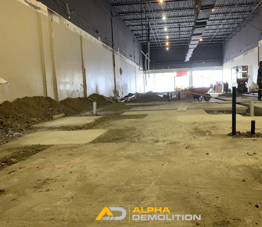 Alpha Demolition Inc.