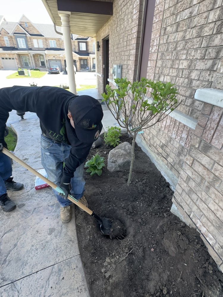 Tiempo Landscaping Inc.