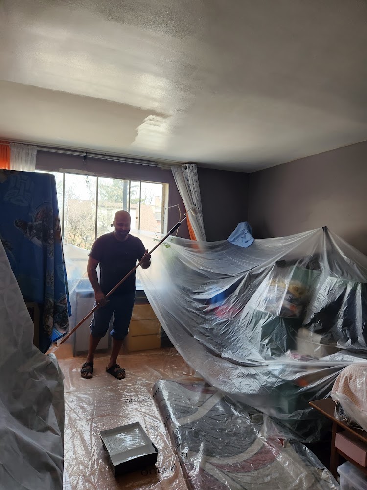 Ramesh Demolition Services