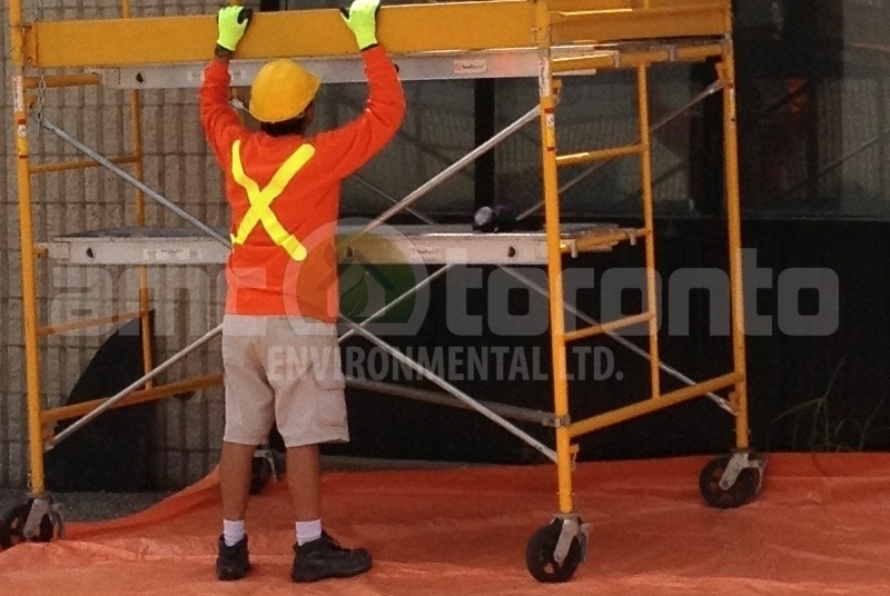 AMC Toronto Environmental Ltd